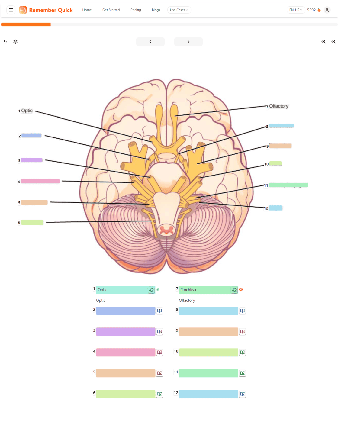 image occlusion question